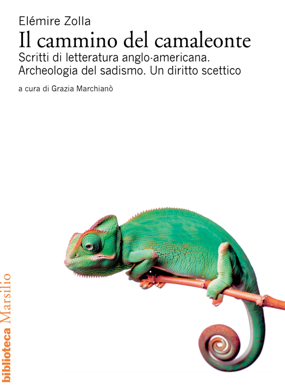 Il cammino del camaleonte 