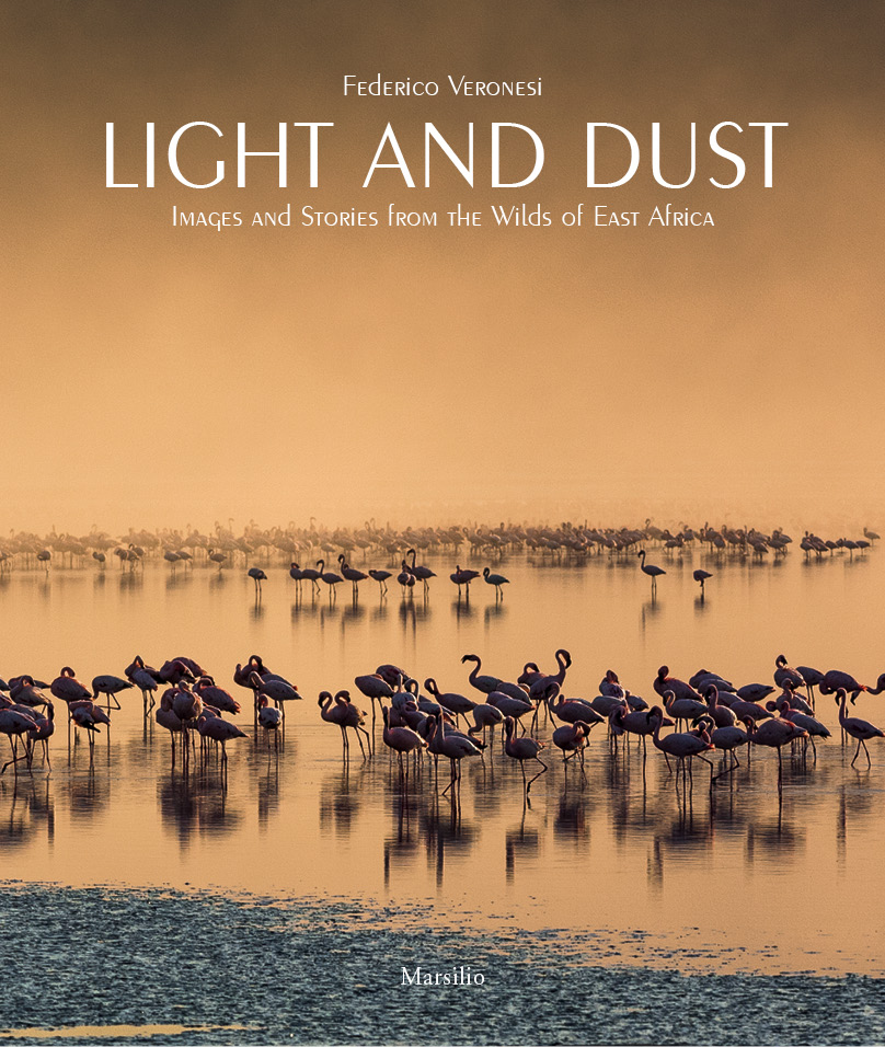 Light and Dust 