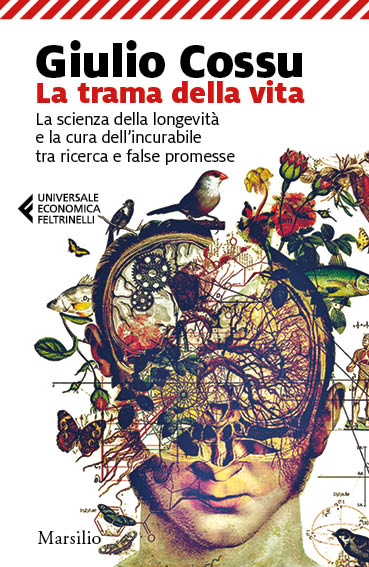 La trama della vita