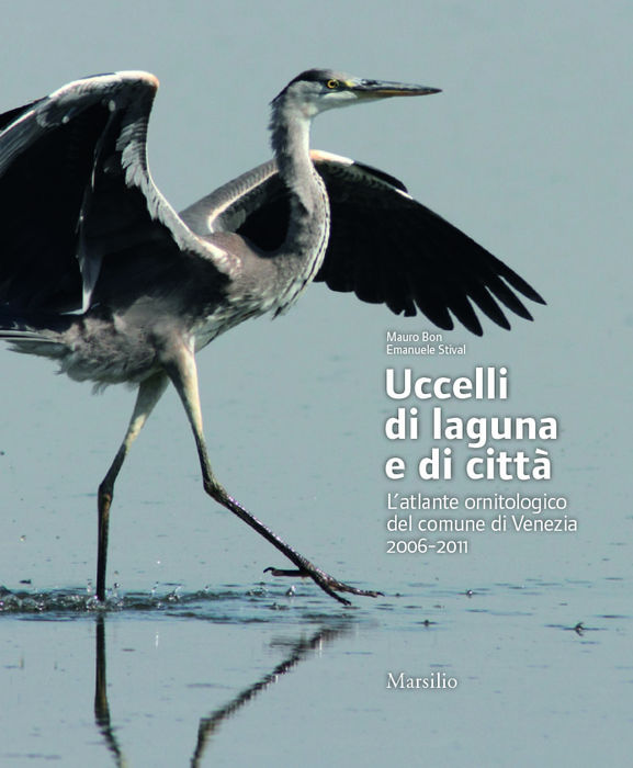 Uccelli di laguna e di città